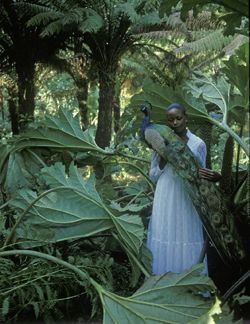 Girls in the Trees - Limited Edition Photographic Art by Christopher Strong